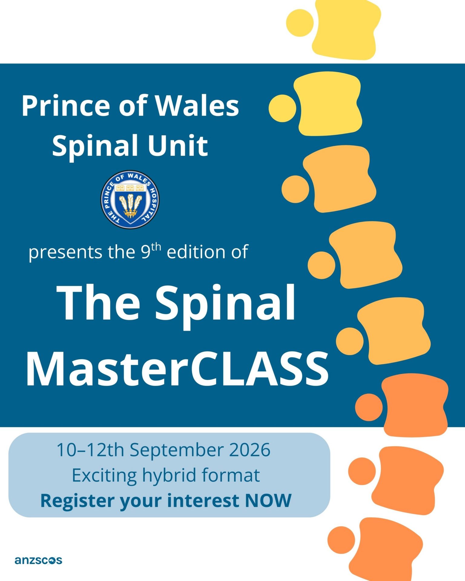 SpinalMASTERCLASS Visual